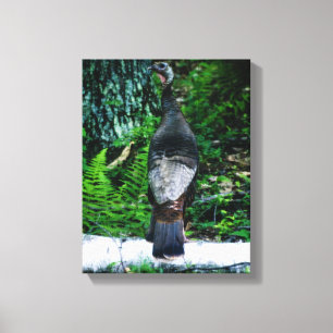 Mother Turkey Wrapped Canvas Leinwanddruck