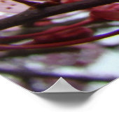 MOTHERDAY GIFTS Frühjahrsblüten Kunstdrucke Poster (Ecke)