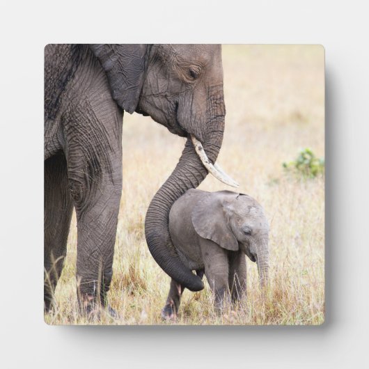 Motherly Love Fotoplatte (Vorderseite)