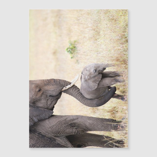 Motherly Love Magnetkarte (Vorderseite)