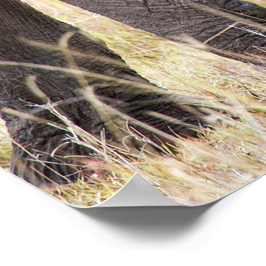 Motherly Love Poster (Ecke)