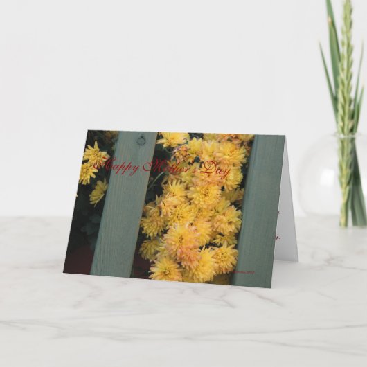 Mother's Day 2008 Card Karte (Vorderseite)