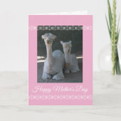 Mother's Day Alpaca Karte (Vorderseite)
