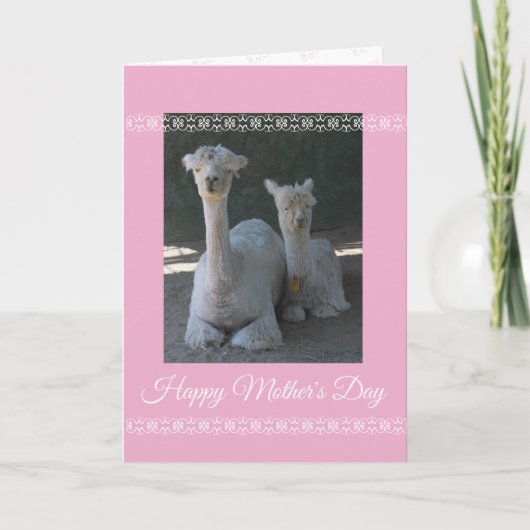 Mother's Day Alpaca Karte (Vorderseite)