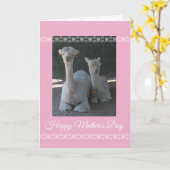 Mother's Day Alpaca Karte (Gelbe Blume)