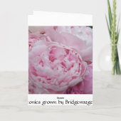 Mothers Day Card Pink Peonies / Peony Flowers Karte (Rückseite)