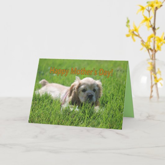 Mother's Day Karte (Gelbe Blume)