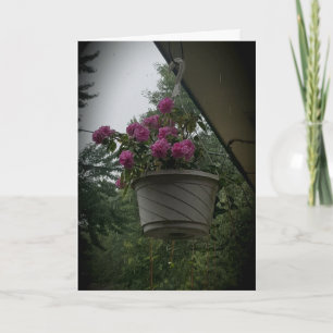 "Mother's Geraniums" Get Well Card Karte