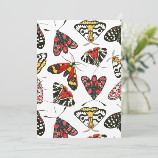 Moths (Stehend Vorderseite)