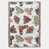 Moths Decke (Vorderseite Vertikal)