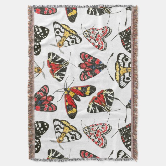 Moths Decke (Vorderseite Vertikal)