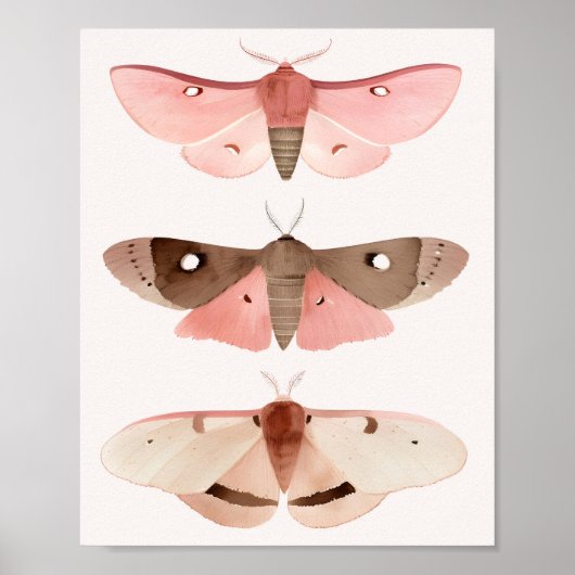 Moths for Good Fortune Poster (Vorne)