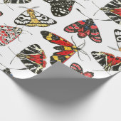 Moths Geschenkpapier (Ecke)