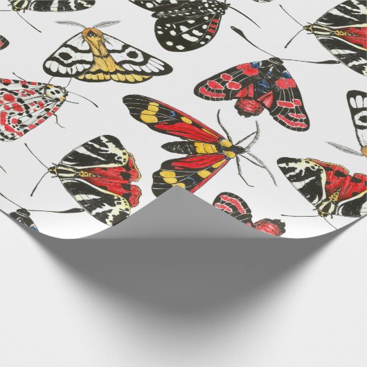 Moths Geschenkpapier (Ecke)