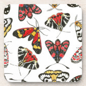 Moths Getränkeuntersetzer (Vorderseite)