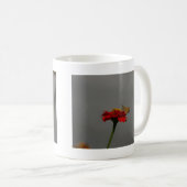 Moths Kaffeetasse (VorderseiteRechts)