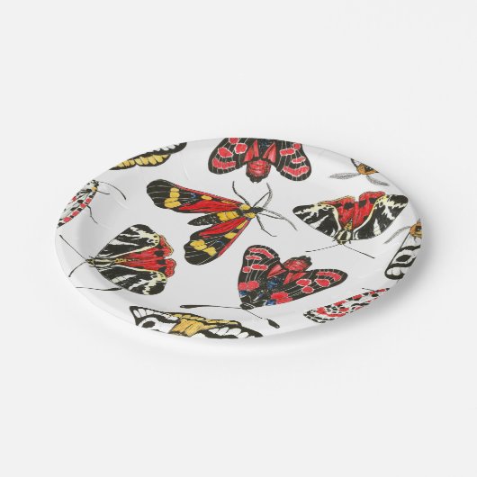 Moths Pappteller (Schrägansicht)