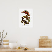 Moths Poster (Küche)