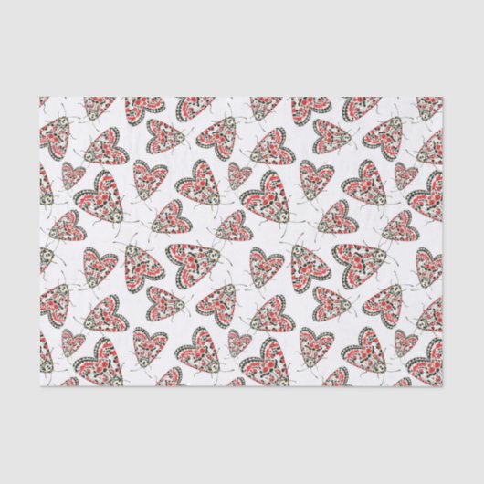 Moths Seidenpapier (Vorderseite)