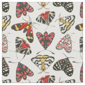 Moths Stoff (Nahaufnahme)