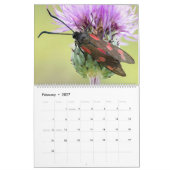 MOTHS UPCLOSE 2021 KALENDER (Feb 2027)