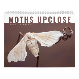 MOTHS UPCLOSE 2021 KALENDER