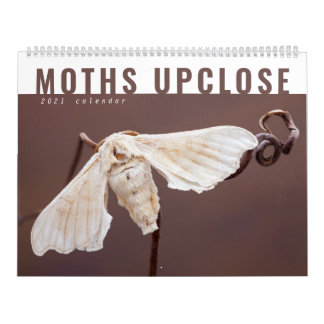 MOTHS UPCLOSE 2021 KALENDER