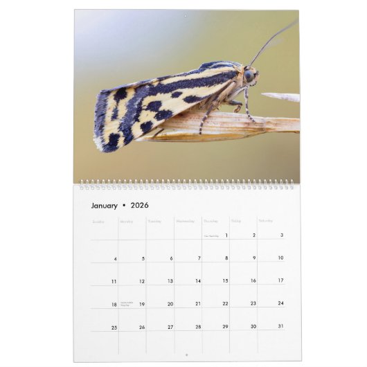 MOTHS UPCLOSE 2021 KALENDER (Jan 2026)