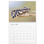 MOTHS UPCLOSE 2021 KALENDER (Jan 2027)