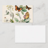 Moths William Forsell Kirby Visitenkarte (Vorne/Hinten)