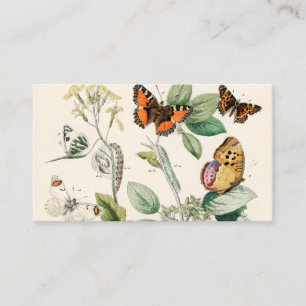 Moths William Forsell Kirby Visitenkarte