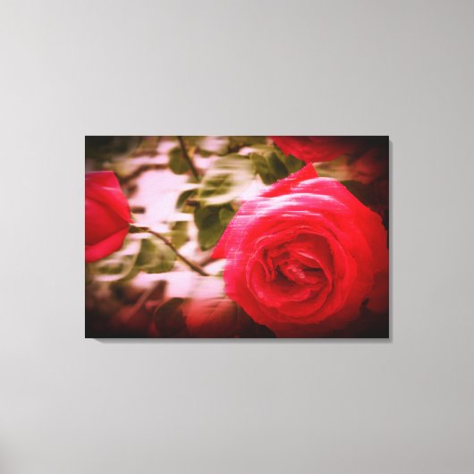 MOTIONSFARBE der Rose auf Leinwand (Vorderseite)