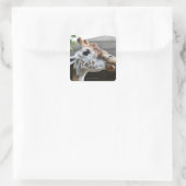 Motiv: Giraffa camelopardalis Quadratischer Aufkleber (Tasche)