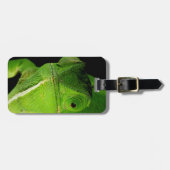 Motiv: Of Flap-Necked Chameleon Gepäckanhänger (Vorderseite horizontal)
