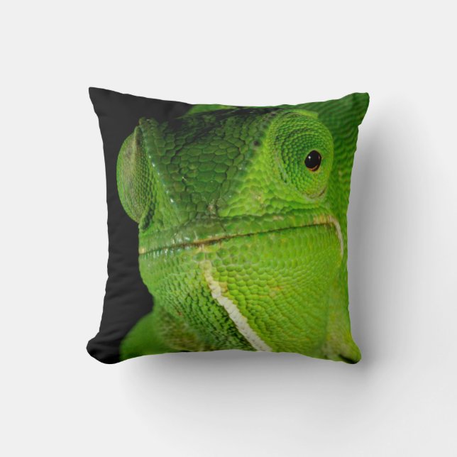 Motiv: Of Flap-Necked Chameleon Kissen (Vorderseite)