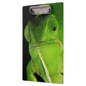 Motiv: Of Flap-Necked Chameleon Klemmbrett (Links)