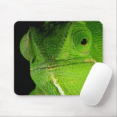 Motiv: Of Flap-Necked Chameleon Mousepad (Mit Mouse)