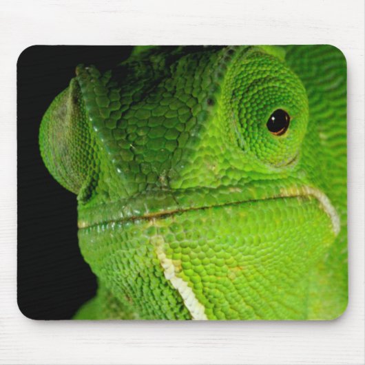 Motiv: Of Flap-Necked Chameleon Mousepad (Vorne)