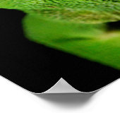 Motiv: Of Flap-Necked Chameleon Poster (Ecke)