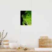 Motiv: Of Flap-Necked Chameleon Poster (Küche)