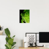 Motiv: Of Flap-Necked Chameleon Poster (Heimbüro)