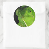 Motiv: Of Flap-Necked Chameleon Runder Aufkleber (Tasche)