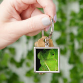 Motiv: Of Flap-Necked Chameleon Schlüsselanhänger (Hand)