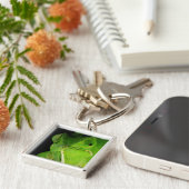 Motiv: Of Flap-Necked Chameleon Schlüsselanhänger (Seite)