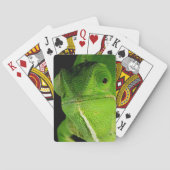 Motiv: Of Flap-Necked Chameleon Spielkarten (Rückseite)