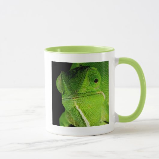 Motiv: Of Flap-Necked Chameleon Tasse (Rechts)