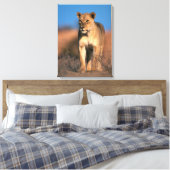 Motiv: Of Lioness (Panthera Leo) Leinwanddruck (Insitu (Schlafzimmer))