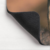 Motiv: Of Lioness (Panthera Leo) Mousepad (Ecke)