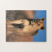 Motiv: Of Lioness (Panthera Leo) Puzzle (Horizontal)
