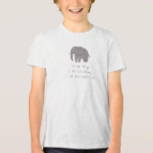 MOTIVATION AFFIRMATION Tri-Blend SHIRT (Vorderseite)